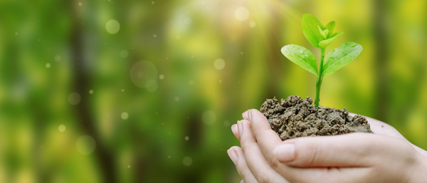 土壤污染狀況調查，沈陽廢水廢氣土壤檢測布點采樣有哪些要點？