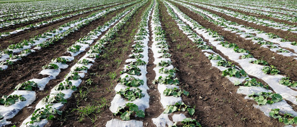 什么是廢水廢氣土壤檢測(cè)？沈陽(yáng)第三方檢測(cè)機(jī)構(gòu)告訴您。