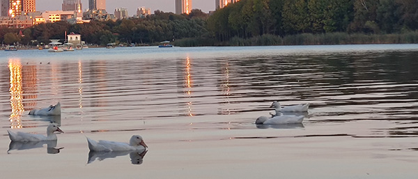 沈陽水質檢測服務具體內容有哪些