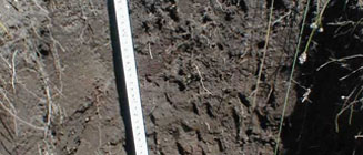 沈陽土壤檢測守護土地健康,保障未來家園