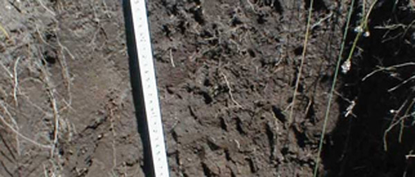 沈陽廢水廢氣土壤檢測的重要性及方法