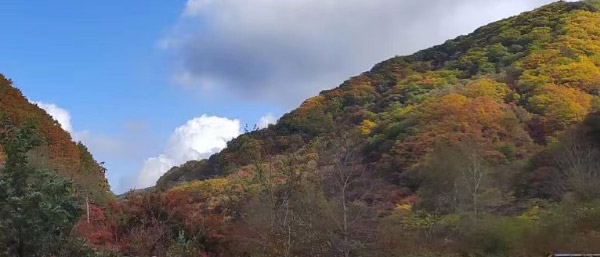 沈陽煙氣自動監測系統的日常應用