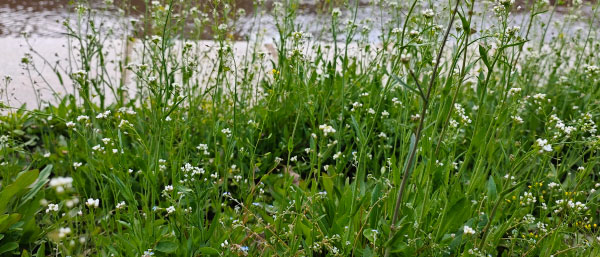 沈陽第三方檢測公司重點實驗室的有毒有害物質檢測服務