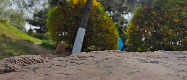 沈陽顆粒物自動監測系統及空氣中顆粒物的潛在危害