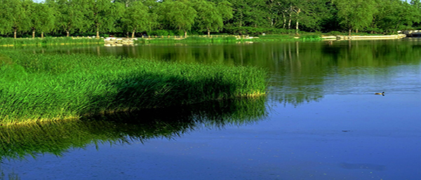 科技創新，保護環境——沈陽環境檢測，守護健康與生態平衡