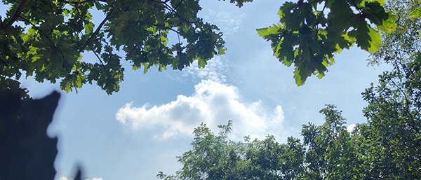 顆粒物自動(dòng)監(jiān)測(cè)系統(tǒng)有哪些顆粒物檢測(cè)流程