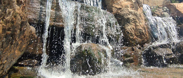 沈陽環境監測機構的環境檢測服務流程