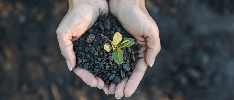 遼寧省環境中土壤污染情況以及檢測手段分析
